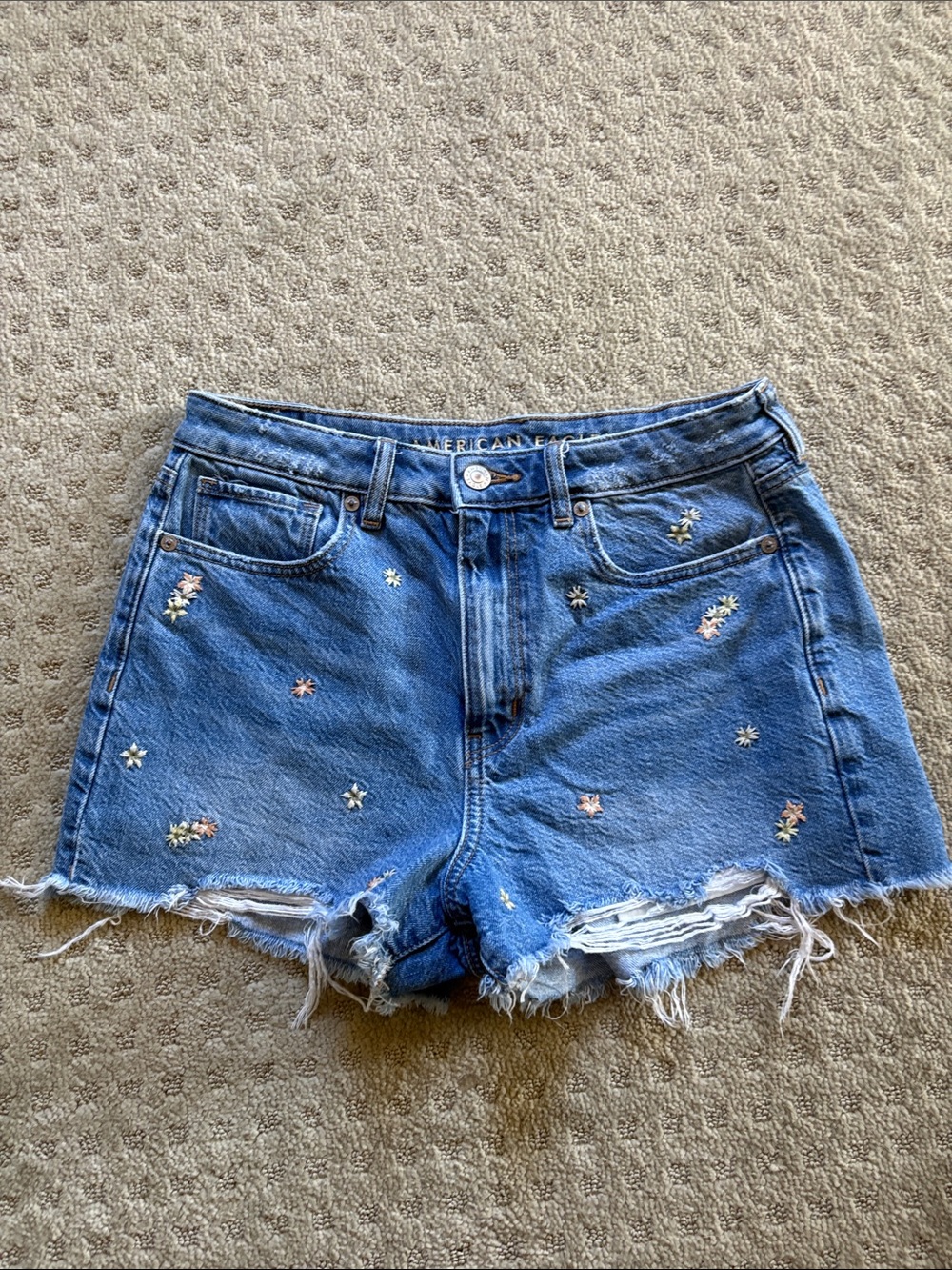 American Eagle Outfitters Medium Blue Denim Shorts with Floral Embroidery